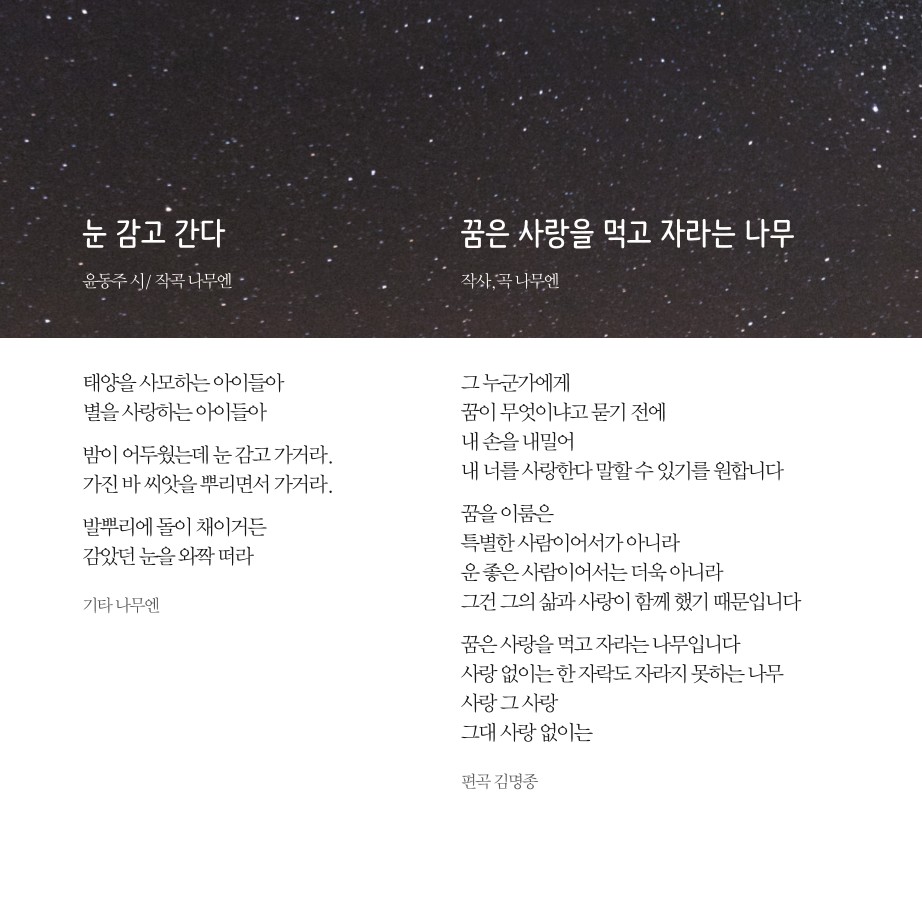 나무엔 - Sing The Beautiful (CD)